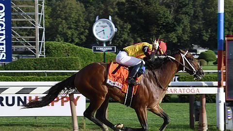 Basin, winning the Hopeful at Saratoga in September, races today in the Rebel Stakes at Oaklawn.