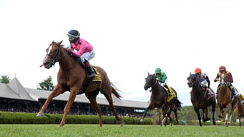 Got Stormy, winning the fourstardave in August, races today at Santa Anita.