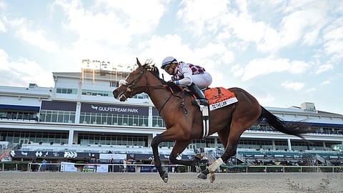 Tiz the Law wins the Florida Derby at Gulfstream Park.