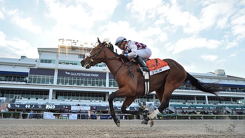 Tiz the Law wins the Florida Derby at Gulfstream Park. No horse that good is runing today.