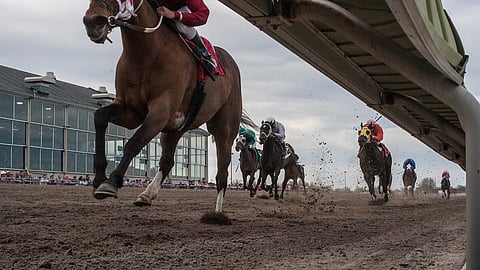 Under-rail cam of horse racing at Fonner Park Racing