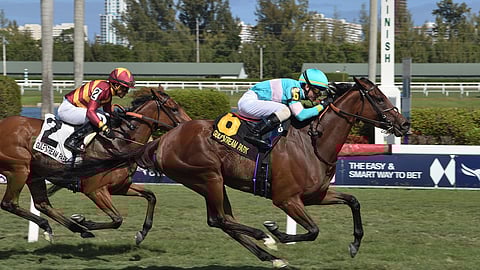 In this image provided by Gulfstream Park, La Signare, ridden by Tyler Gaffalione, wins the Sand Springs horse race at Gulfstream Park, Saturday, March 28, 2020, in Hallandale Beach, Florida.