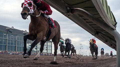 Under-rail cam of horse racing at Fonner Park Racing