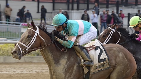 Another Broad won the Top Flight last April at Aqueduct, but at Churchill Downs, RT and SmartCap are picking another broad, She's A Julie.