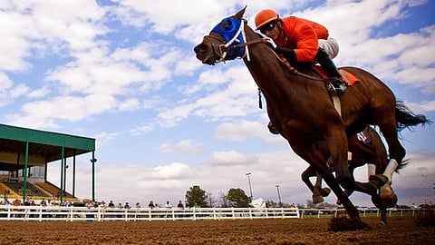Racing at Will Rogers Downs