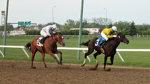 Horse Racing at Assiniboia Downs.