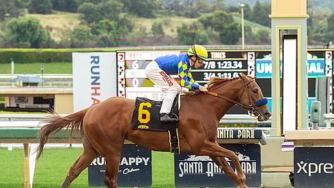 Charlatan, winning at Santa Anita, will be a heavy favorite in one division of the Arkansas Derby.