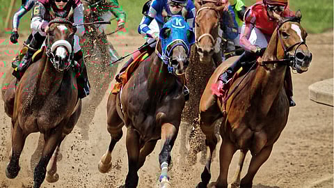 Racing at Lone Star Park