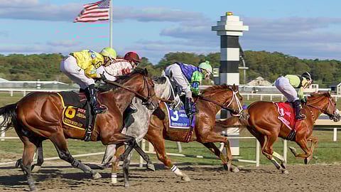 Racing at Parx