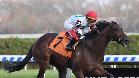 Country Grammer, seen here running at Aqueduct in 2019, is Garrity's pick of the day,