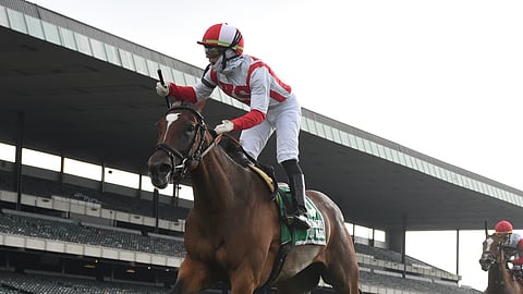 Newspaperofrecord winning the Intercontinental at Belmont on June 6, in front of no one.