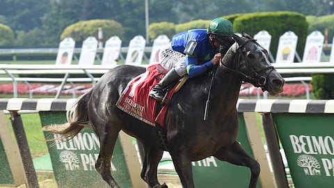 Royal Charlotte, Garrity's pick to win the Harmony Lodge Stakes today at Belmont Park