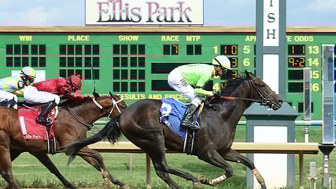 Racing at Ellis Park