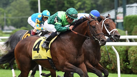 Raging Bull, winning the Hall of Fame Stakes in 2018, is Garrity's pick in the Fourstardave.