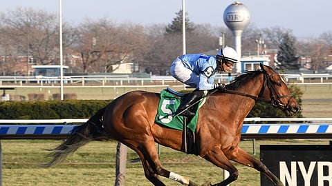 Newly Minted, shown here racing at Aqueduct, is Garrity's pick to win today's $85,000 Union Avenue Stakes at Saratoga