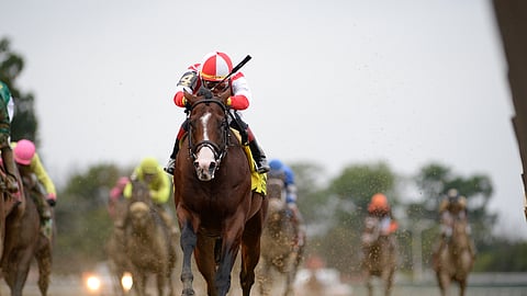 Complexity, winning the Champagne Stakes in 2018, is Garrity's pick for the Forego Stakes.