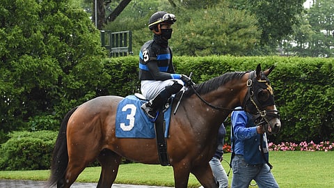 Fauci, shown here at Belmont in June of 2020, is Garrity's pick to win today's $85,000 Skidmore Stakes at Saratoga
