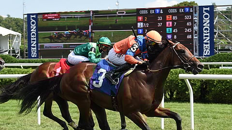 American Pharoah son American Monarch, winning his debut race August 8 at Saratoga. He's racing today at Woodbine.
