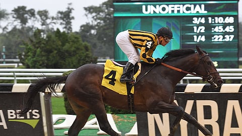 Looking at Bikinis, shown here racing at Belmont in 2018, is Garrity's choice today to win the 8th at Keeneland