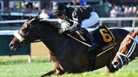 Crystalle, shown here racing at Saratoga in 2019, is RT's pick to win the 8th at Gulfstream Park today