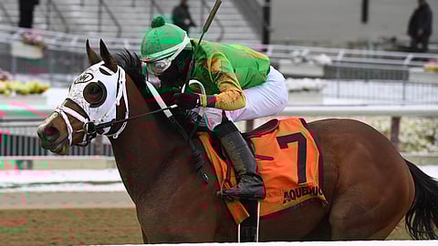 A Freud of Mama, winning the 2020 Franklin Square Stakes at Aqueduct. In the 2021 race, today, Garrity likes Rossa Veloce.
