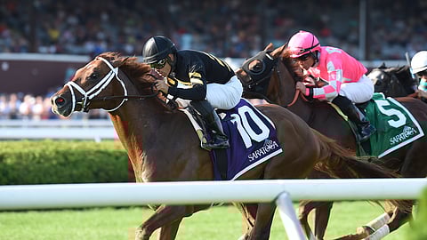 Channel Cat, winning the Bowling Green at Saratoga, in July of 2019, is one of Garrity's picks today at Giulfstream.