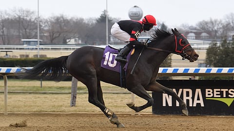 Racing at Aqueduct..