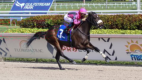 Racing at Gulfstream Park