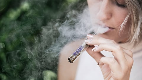 Grass could make Atlantic City greener if the casinos capitalize.on legal cannabis.