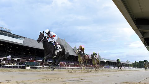 Speedy Yaupon, who won the Amsterdam Stakes in August 2020 at Saratoga, is Garrity's pick in the Dubai Golden Shaheen.