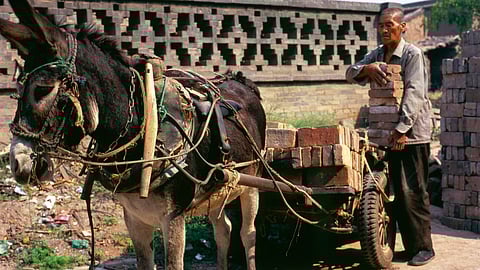 A hooptie horse may look like he's carrying a heavy load