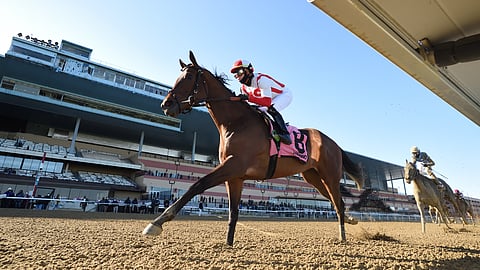 Search Results, winning the Gazelle April 3, 2021, at Aqueduct, is Garrity's pick in the Kentucky Oaks.