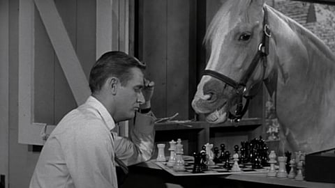 If Mr. Ed were a race horse, he could pass the other horses and talk smack to them.