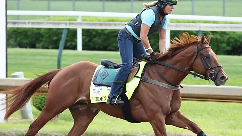 Hidden Stash warms up Wednesday morning at Churchill Downs.