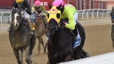 Chateau, winning the Tom Fool in March.