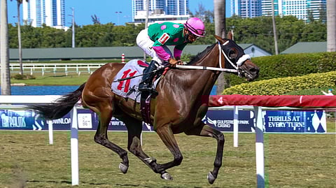 Racing at Gulfstream Park.
