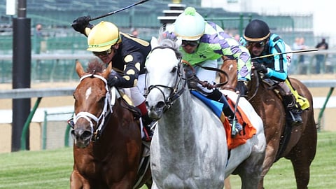 Turf racing at Churchill Downs/