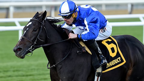 Speaktomeofsummer winning the Chelsey Flower at Aqueduct, way back in 2019. Garrity thinks she'll have her picture taken again today.
