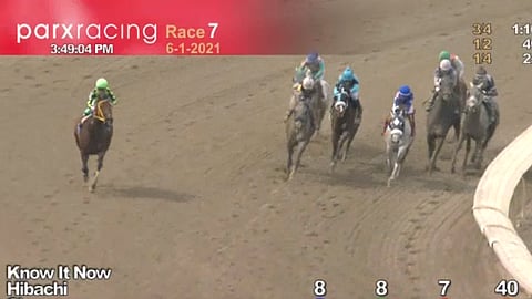 Horses to Watch, June 5, 2021.