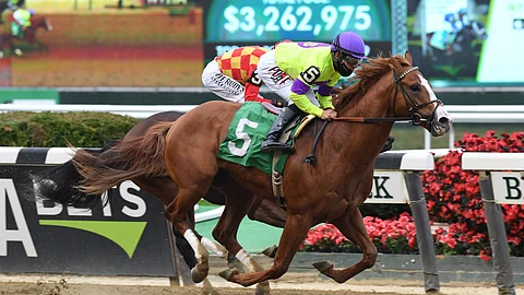 Nova Rags, seen here winning at Belmont Park in October, gets God's Tipster's race day started in the 3rd.