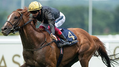 Stradivarius, Europe's greatest distance horse, races in Royal Ascot's 2.5 mile Gold Cup.