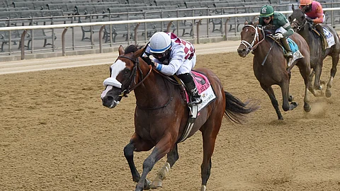 Tiz the Law, with Manny Franco, pulls away in the 2020 Belmont Stakes. Who will it this year?