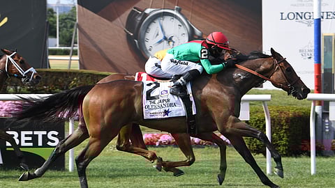 Oleksandra won the Jaipur Stakes last June and Garrity thinks she's going to beat the colts again.