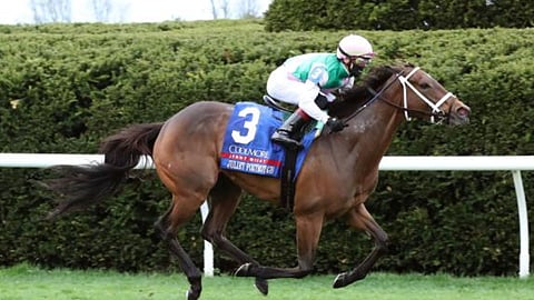 Juliet Foxtrot is the ML favorite in the Mint Julep Stakes at Churchill Downs. Garrity is betting against her.