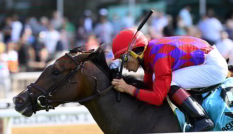 Runaway Rumour, winning the Wild Applause at Belmont in June.