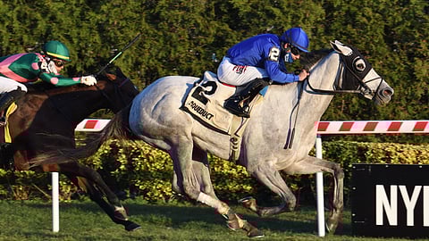 Lovestruck, winning the Tepin in December, 2020.