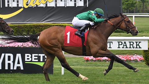 Molino, running in May at Belmont, runs at Saratoga today.