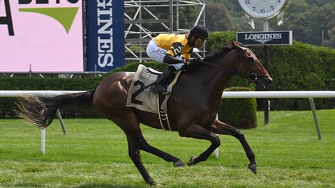 Dripping Gold, winning a maiden race at Saratoga. Garrity is not expecting him to win today . . . but second would be nice.