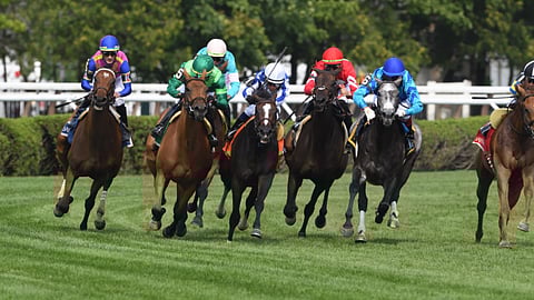 War Like Goddess, on the outside, takes charge in the Glens Falls on Aug. 8. 2021. God's Tipster likes her again today in the 11th race.