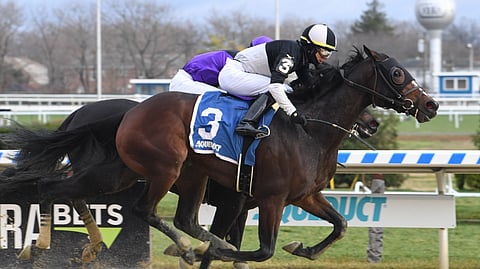 Sharp Starr won the 2020 Go For Wand in slop and will be running in slop again today.